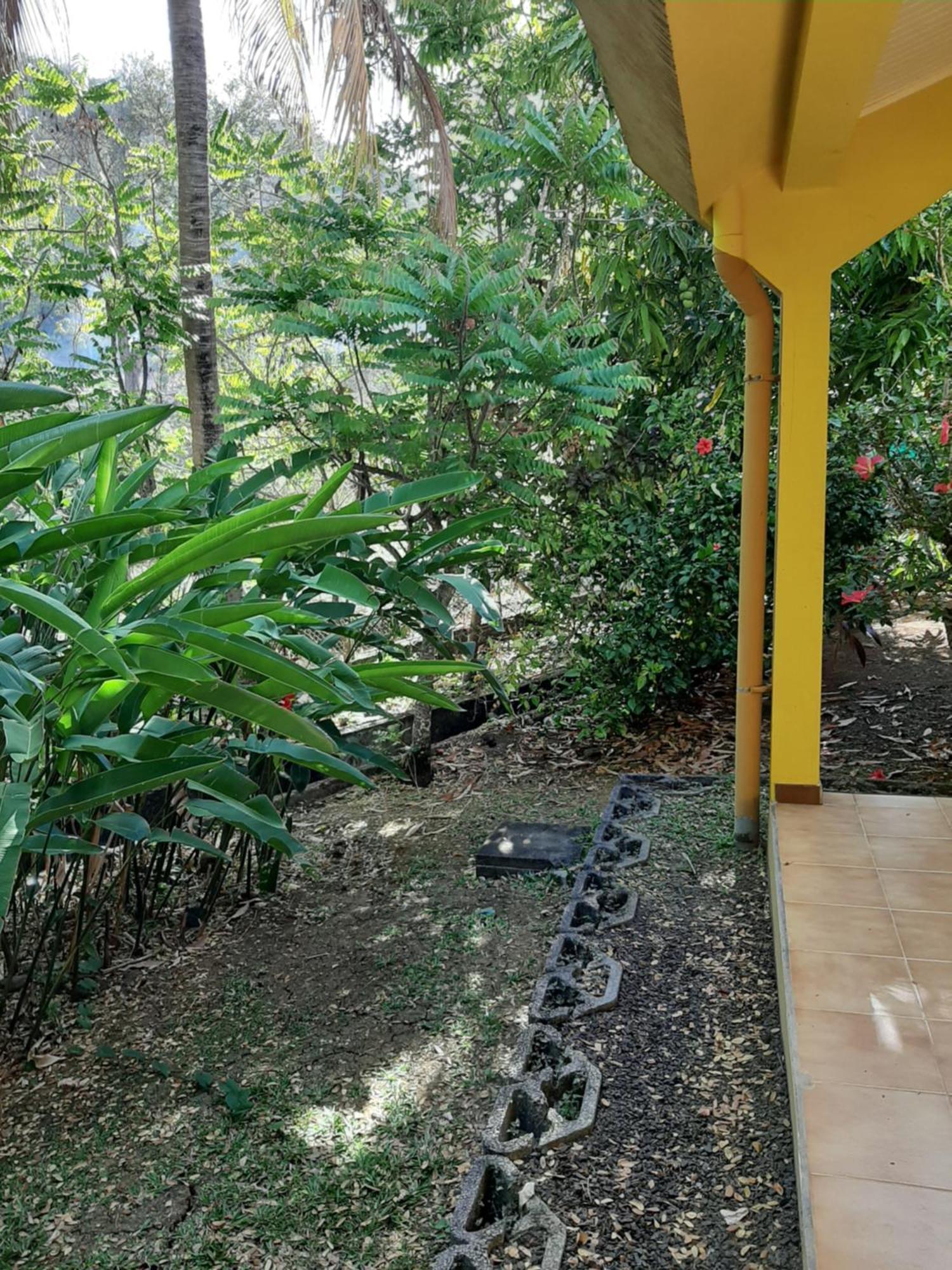 Residence De Vacances Mon Refuge - Bungalow De Type T3 Grande Anse Exterior foto